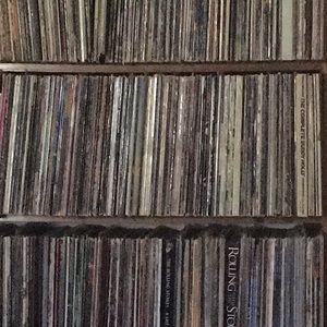 Meet your Posher, Ann